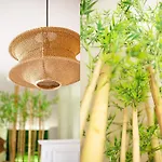 Otium Old Town Boutique *